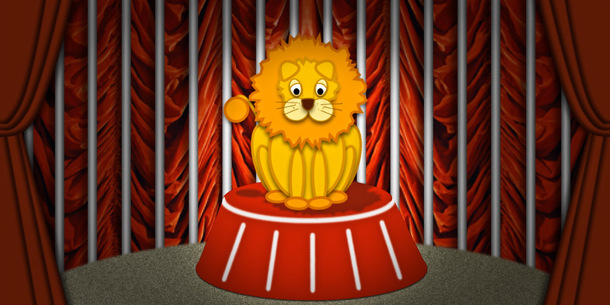 carnival of animals tortoise